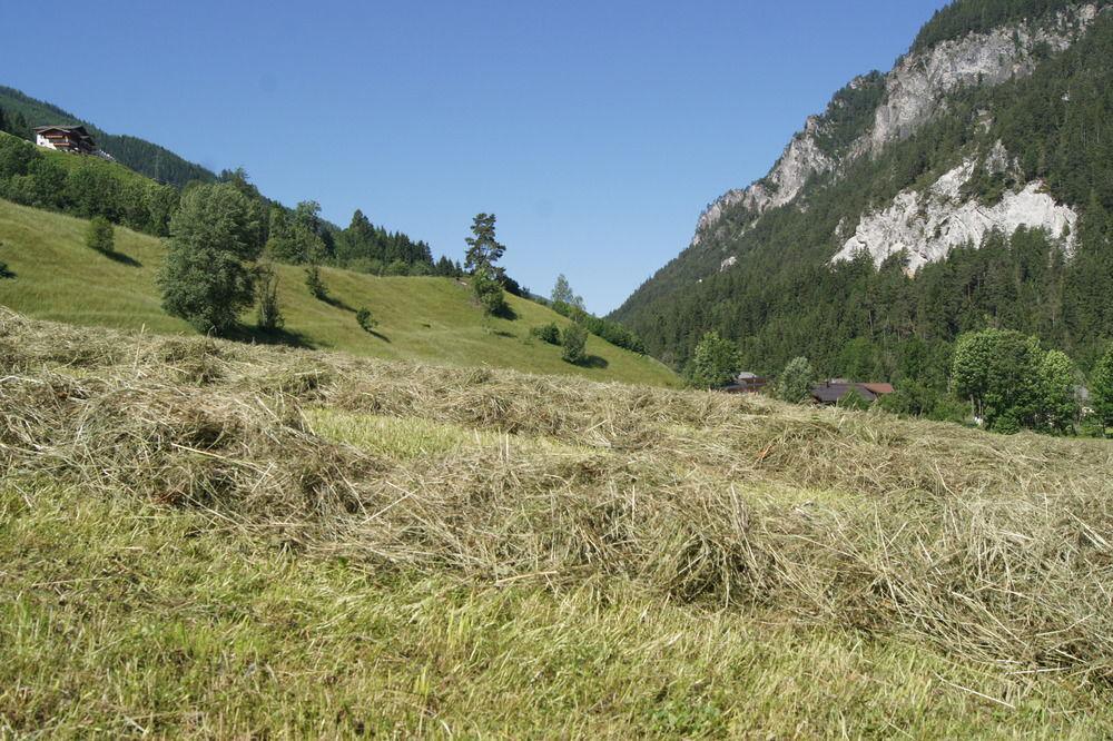 Апартаменты Zeffererhof Шладминг Экстерьер фото